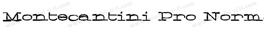 Montecantini Pro Normale Bold字体转换